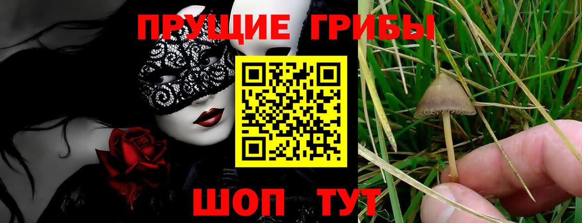 Псилоцибиновые грибы прущие грибы Лобня